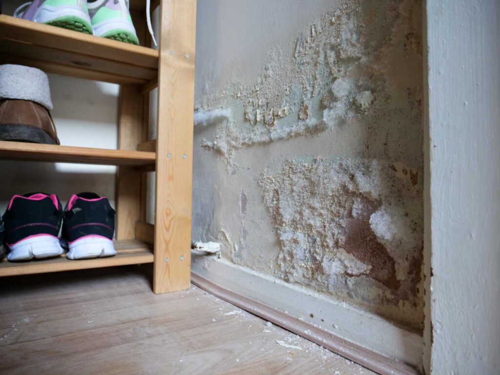 10 Tips to Stop Mold After Water Damage
